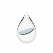 Why do I need to replace my contact lenses regularly? 1 contact lens in a drop of water